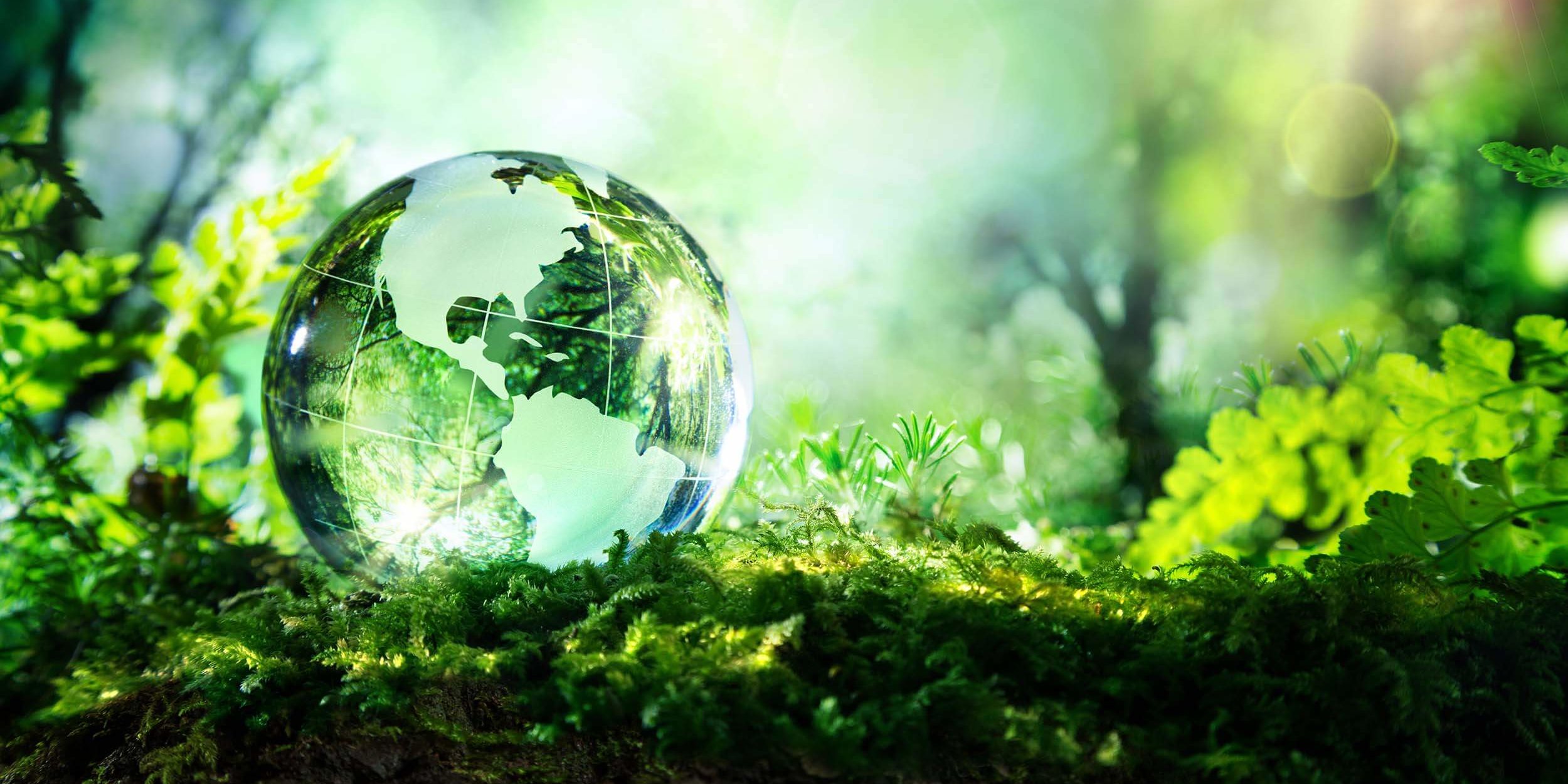 Environmental Regulations