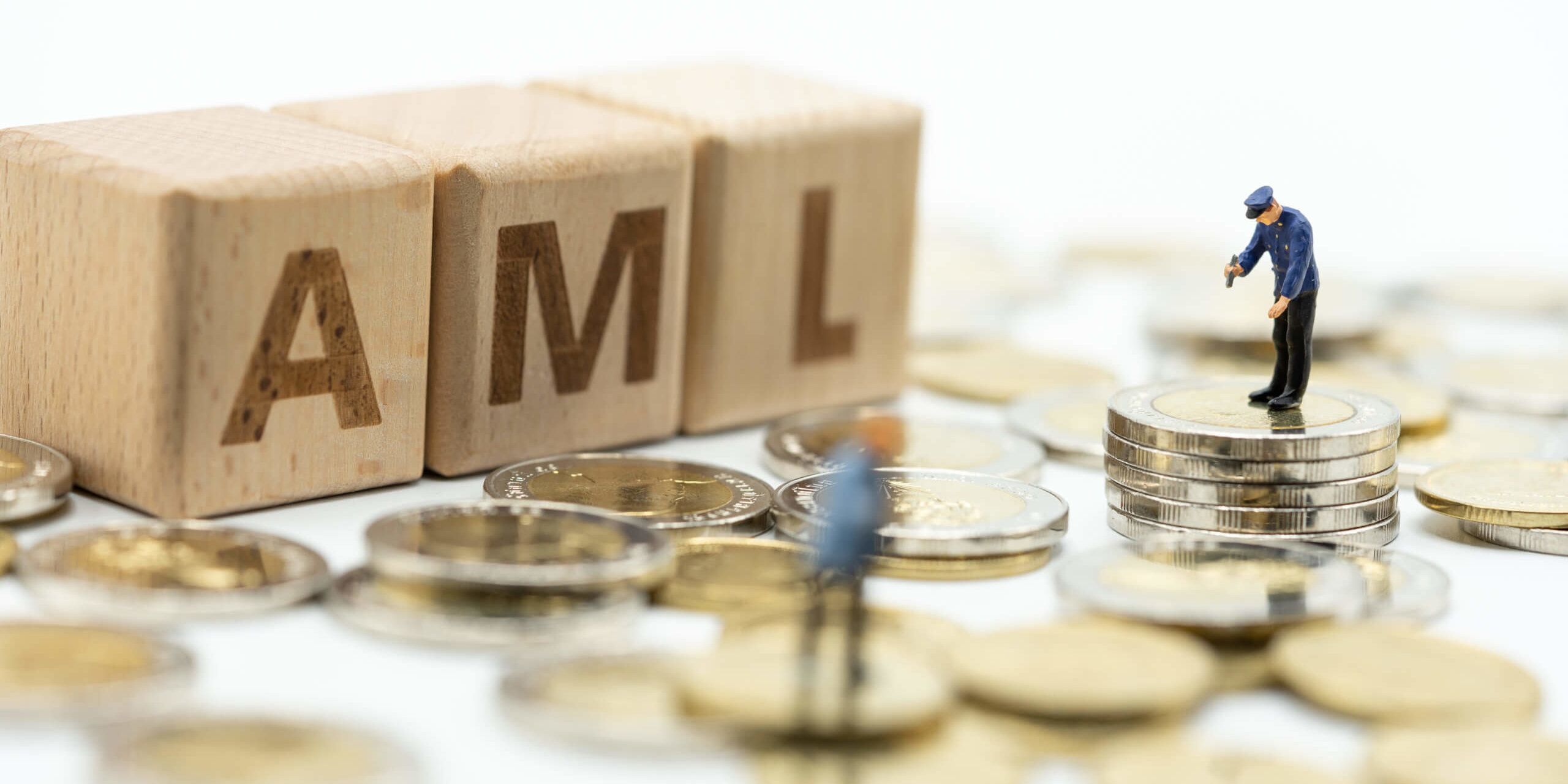 Money Laundering and Human Rights: What’s the connection and why should we care?